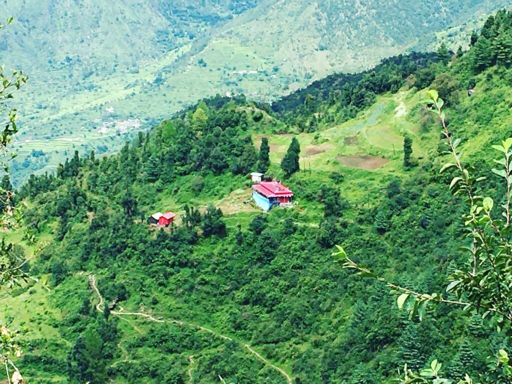 Best homestay in dhanaulti