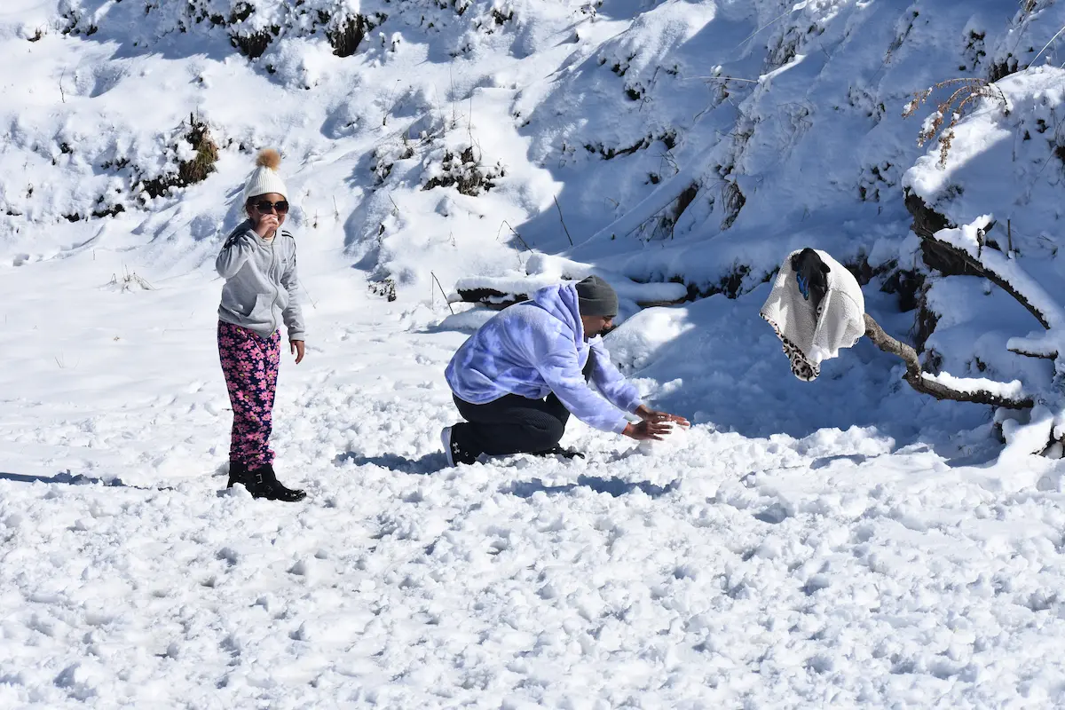Best Homestay in dhanaulti